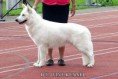 /album/kepgaleria-doux-of-ice-wine/doux2-jpg/