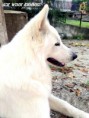 /album/kepgaleria-doux-of-ice-wine/profil-jpg/