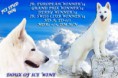/album/kepgaleria-doux-of-ice-wine/diw-jpg/