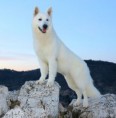 /album/kepgaleria-doux-of-ice-wine/doux5-jpg/