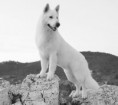 /album/kepgaleria-doux-of-ice-wine/doux3-jpg/
